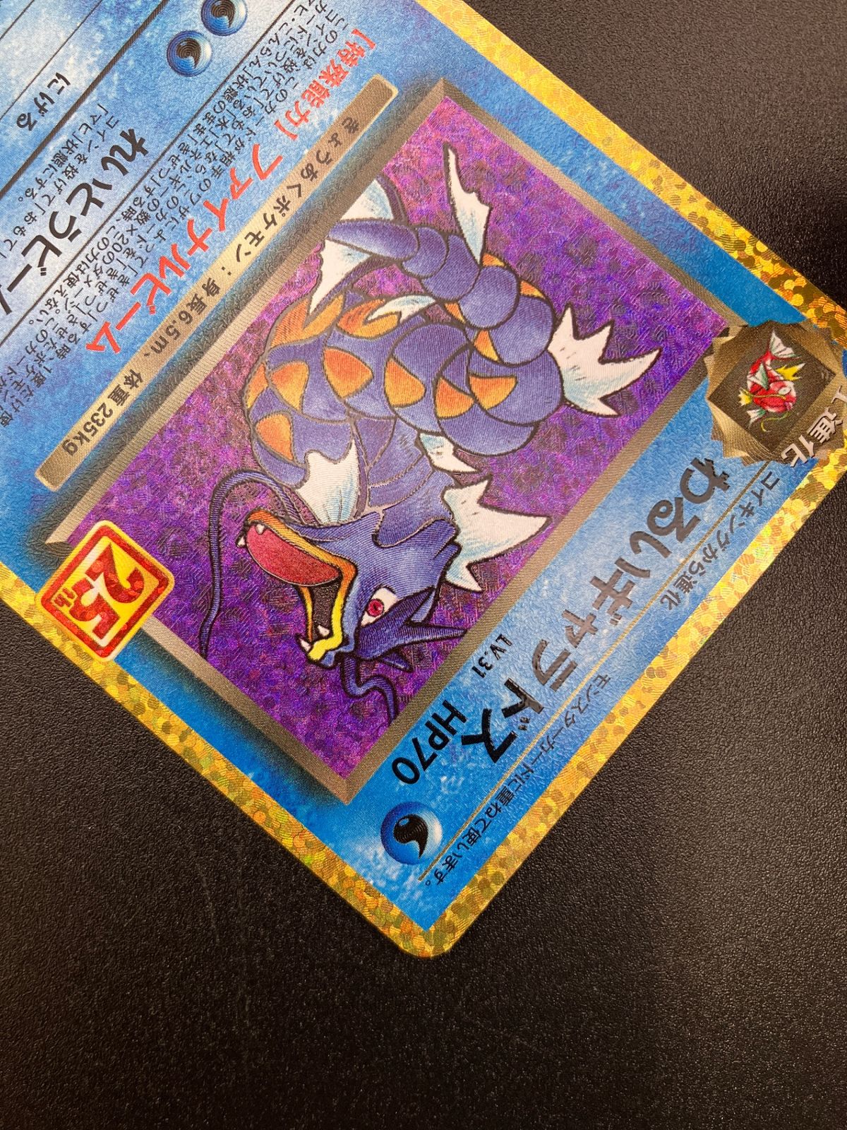 ポケモンカード ポケカOCG わるいギャラドス S8a-P-005 S8a-P プロモ