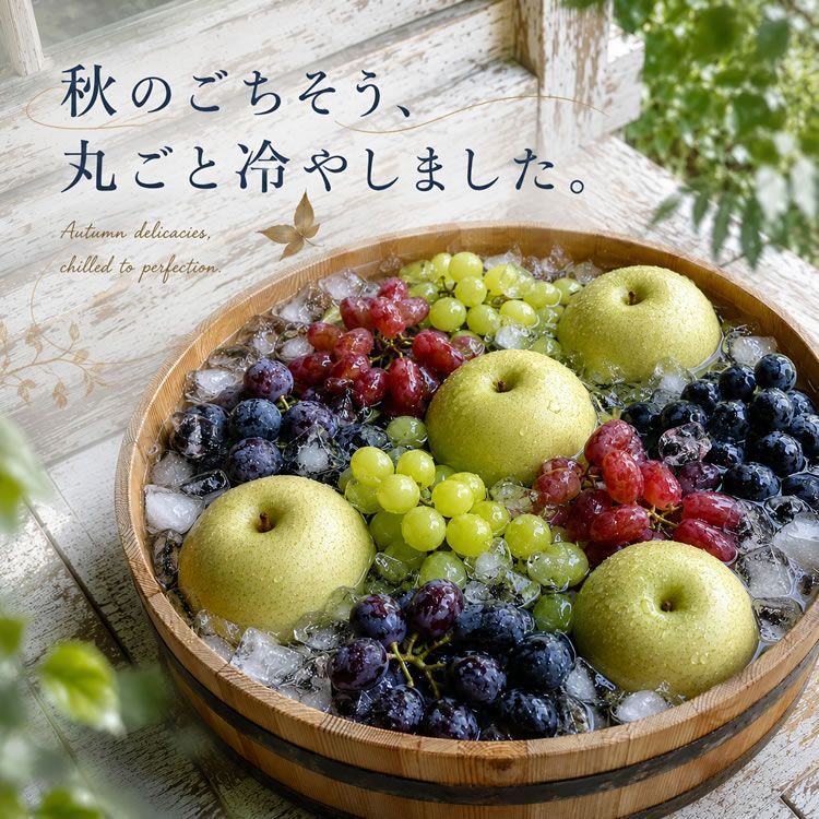 鳥取県産20世紀梨＆岡山県産種無しピオーネ ギフトセット [20世紀
