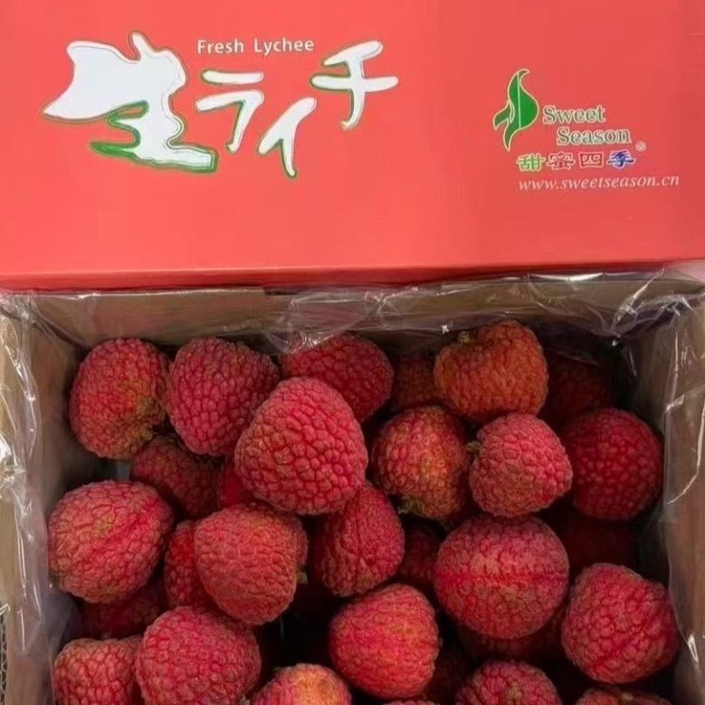 種なし生ライチ 2kg！希少高級品種 高鮮度フレッシュ - メルカリ