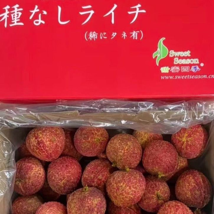 新鮮種なしライチ 約2kg 種無しライチ 約2kg 新鮮 メーカー直販