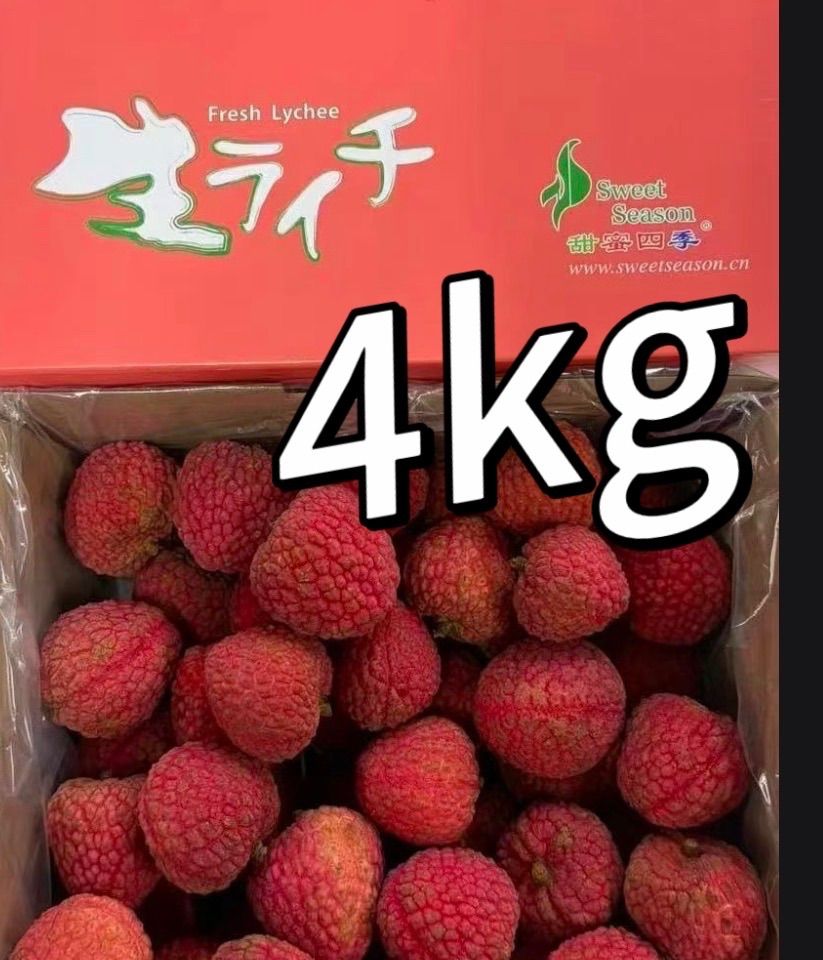約4kg‼️クール便‼️フォロワー様限定100円引きクーポン配布中‼️種なし生ライチ ‼️中国産 希少高級品種 高鮮度フレッシュライチ　可食部たっぷり たねなしレイシ 無核茘枝 家庭用 贈答用 夏ギフト 国内検品 11,700円