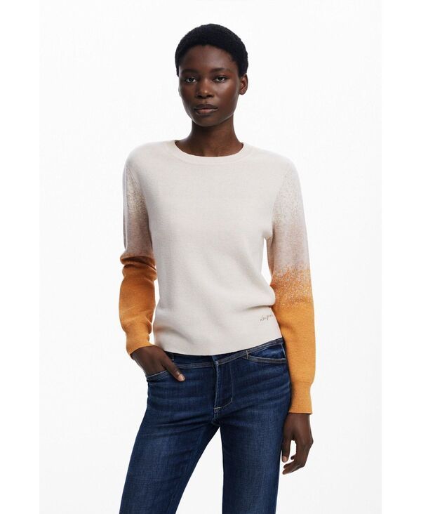 デジグアル レディース アウター ニット・セーター セーター Desigual Womens Gradient sweater Medium beige ベージュ