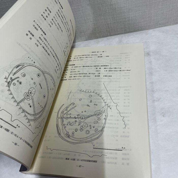 大阪府和泉市 観音寺山遺跡 発掘調査報告書 1999年 同志社大学歴史