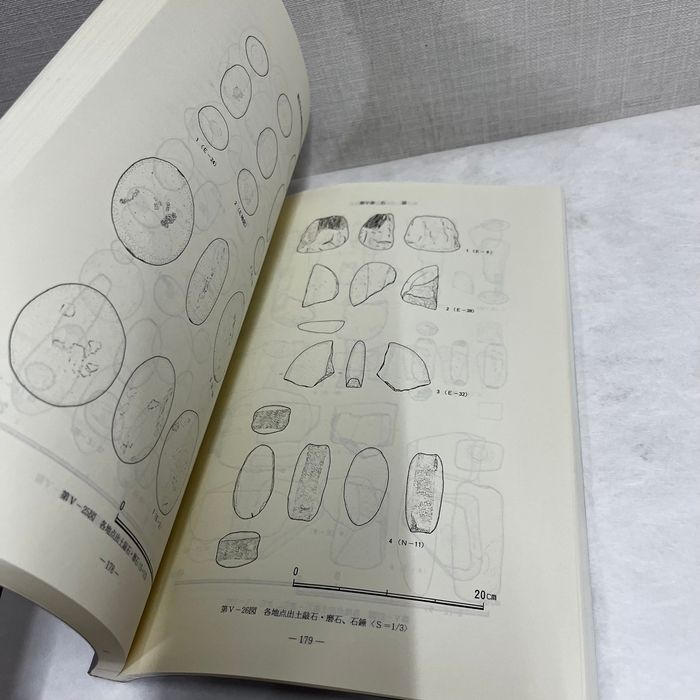 大阪府和泉市 観音寺山遺跡 発掘調査報告書 1999年 同志社大学歴史