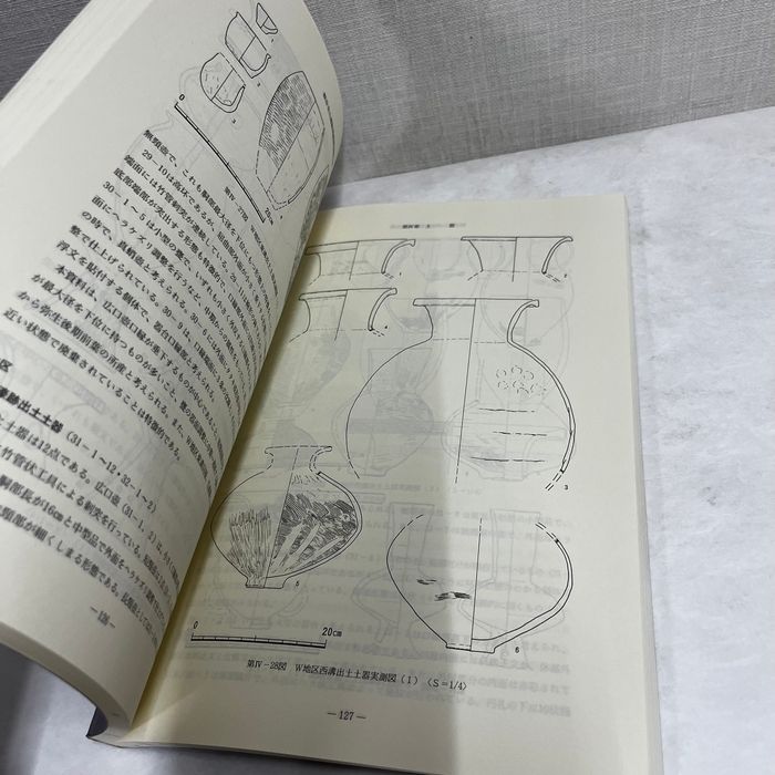 大阪府和泉市 観音寺山遺跡 発掘調査報告書 1999年 同志社大学歴史