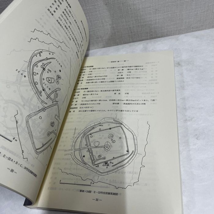 大阪府和泉市 観音寺山遺跡 発掘調査報告書 1999年 同志社大学歴史