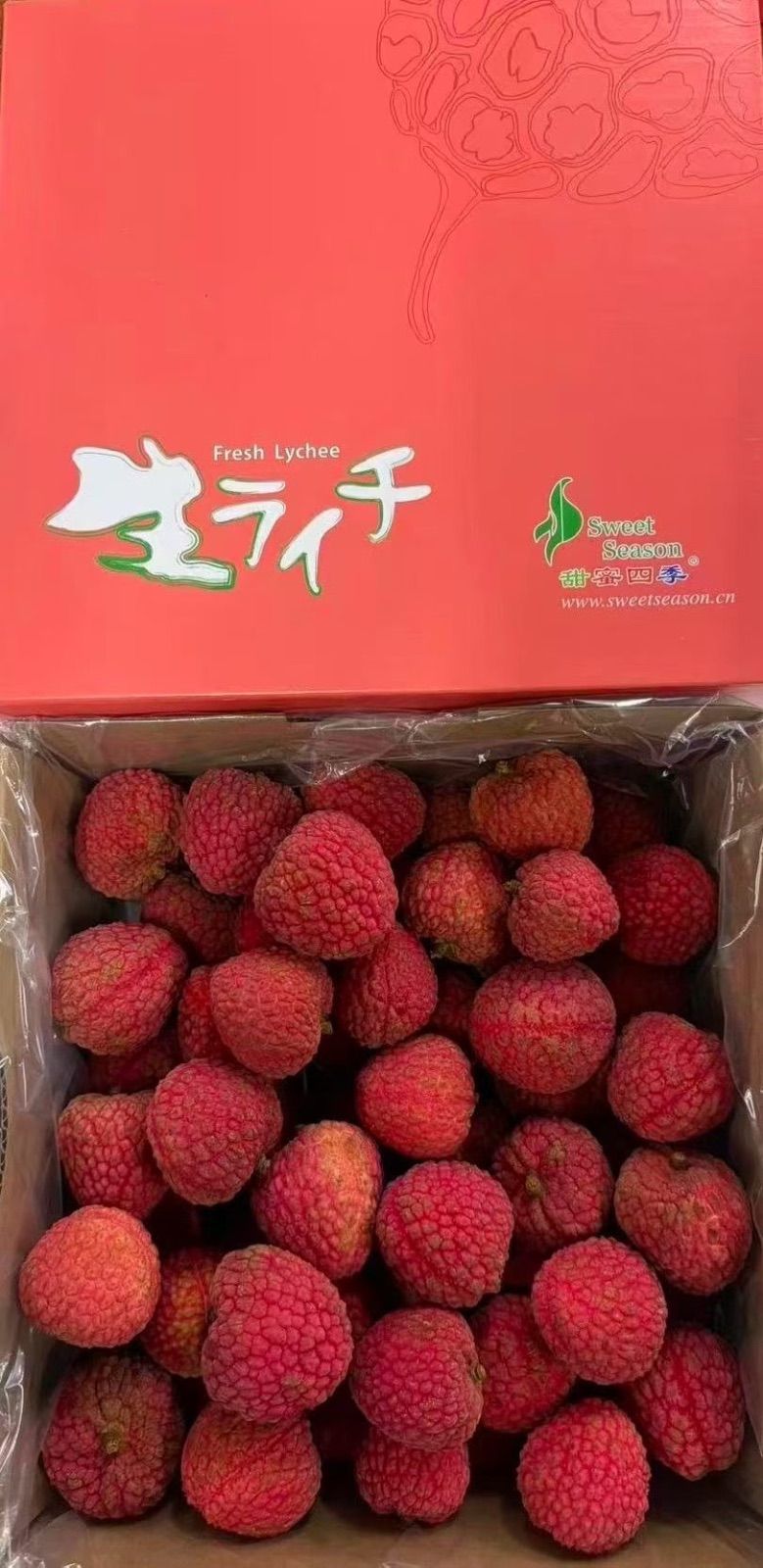 種なし生ライチ 約1kg 中国産 希少品種 クール便 - メルカリ