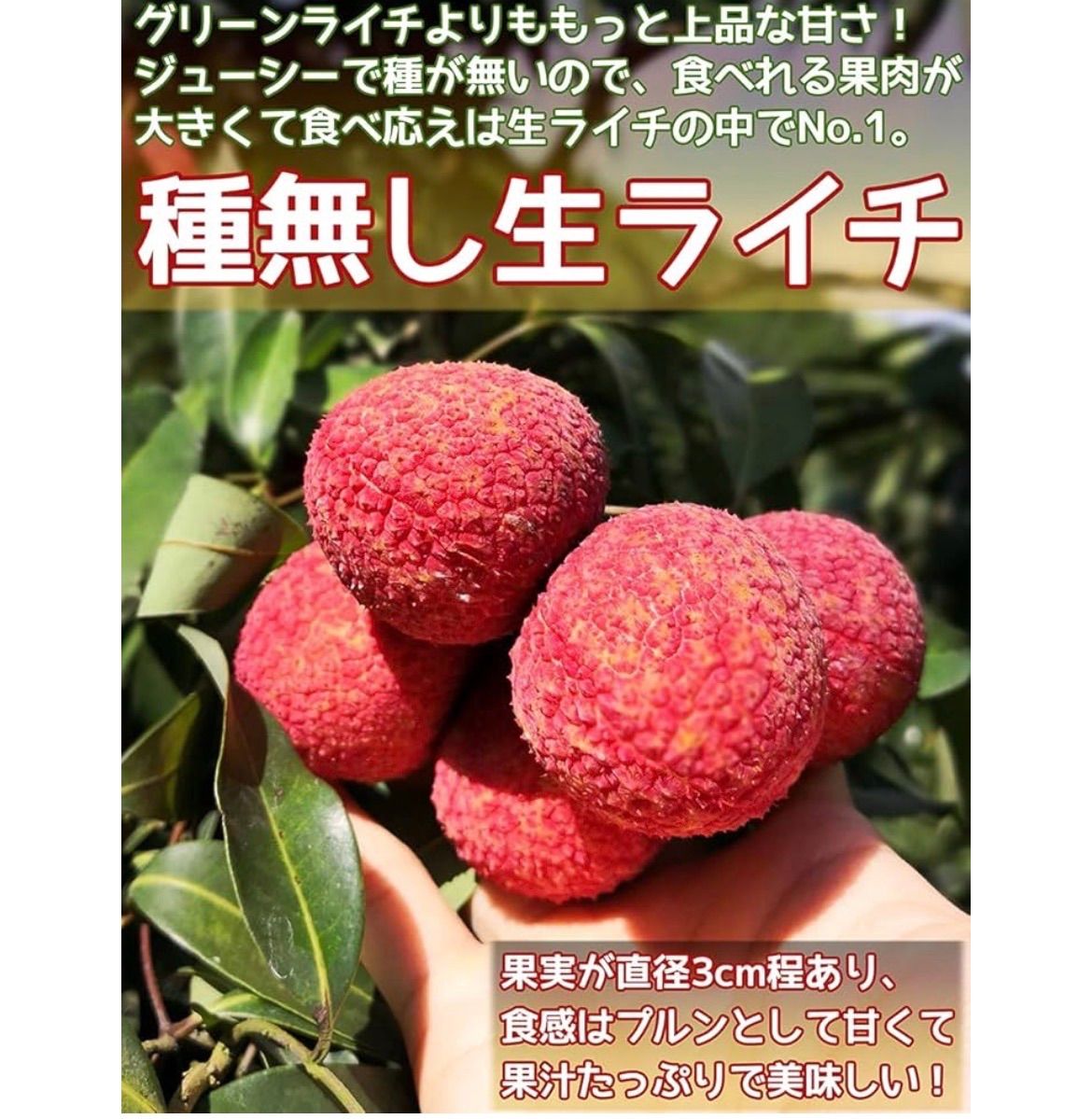 種なし生ライチ 約1kg 中国産 希少品種 クール便 - メルカリ