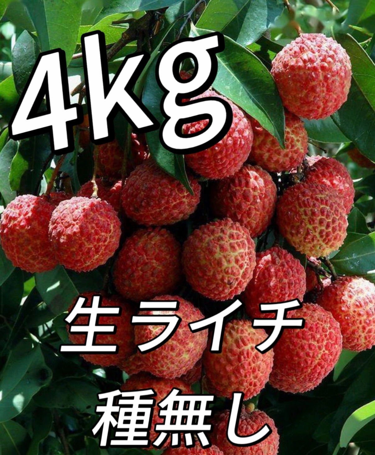 約4kg‼️クール便‼️フォロワー様限定100円引きクーポン配布中‼️種なし生ライチ ‼️中国産 希少高級品種 高鮮度フレッシュライチ　可食部たっぷり たねなしレイシ 無核茘枝 家庭用 贈答用 夏ギフト 国内検品