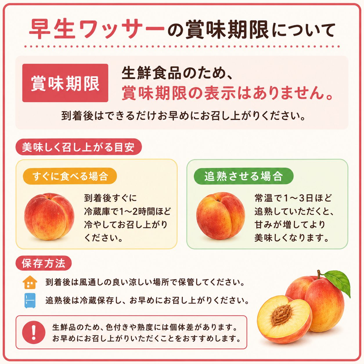 60 早生ワッサー小玉9キロ 食品