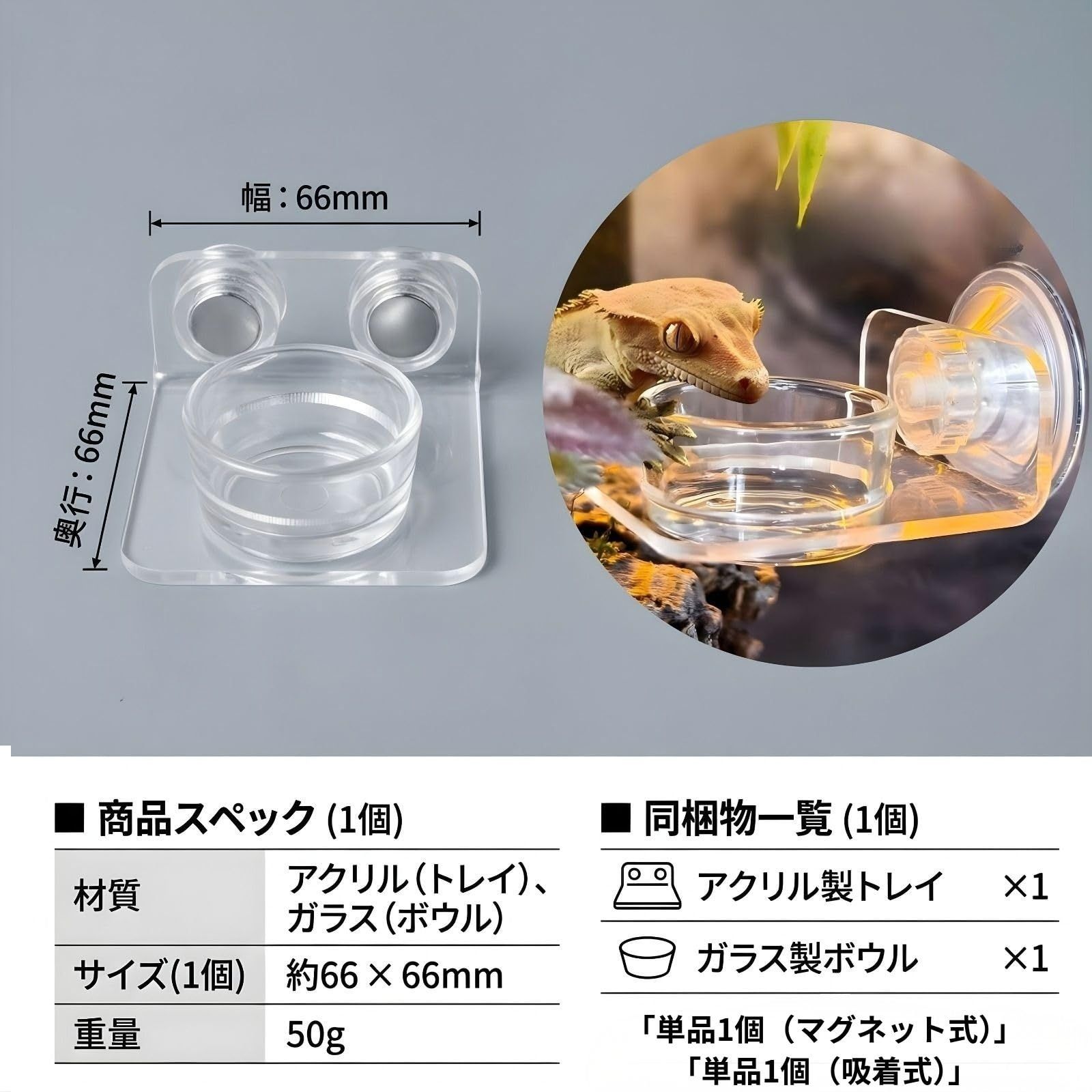 SESHIS 爬虫類 水入れ 餌入れ ペット 水槽 飼育 アクリル クリア 単品1 