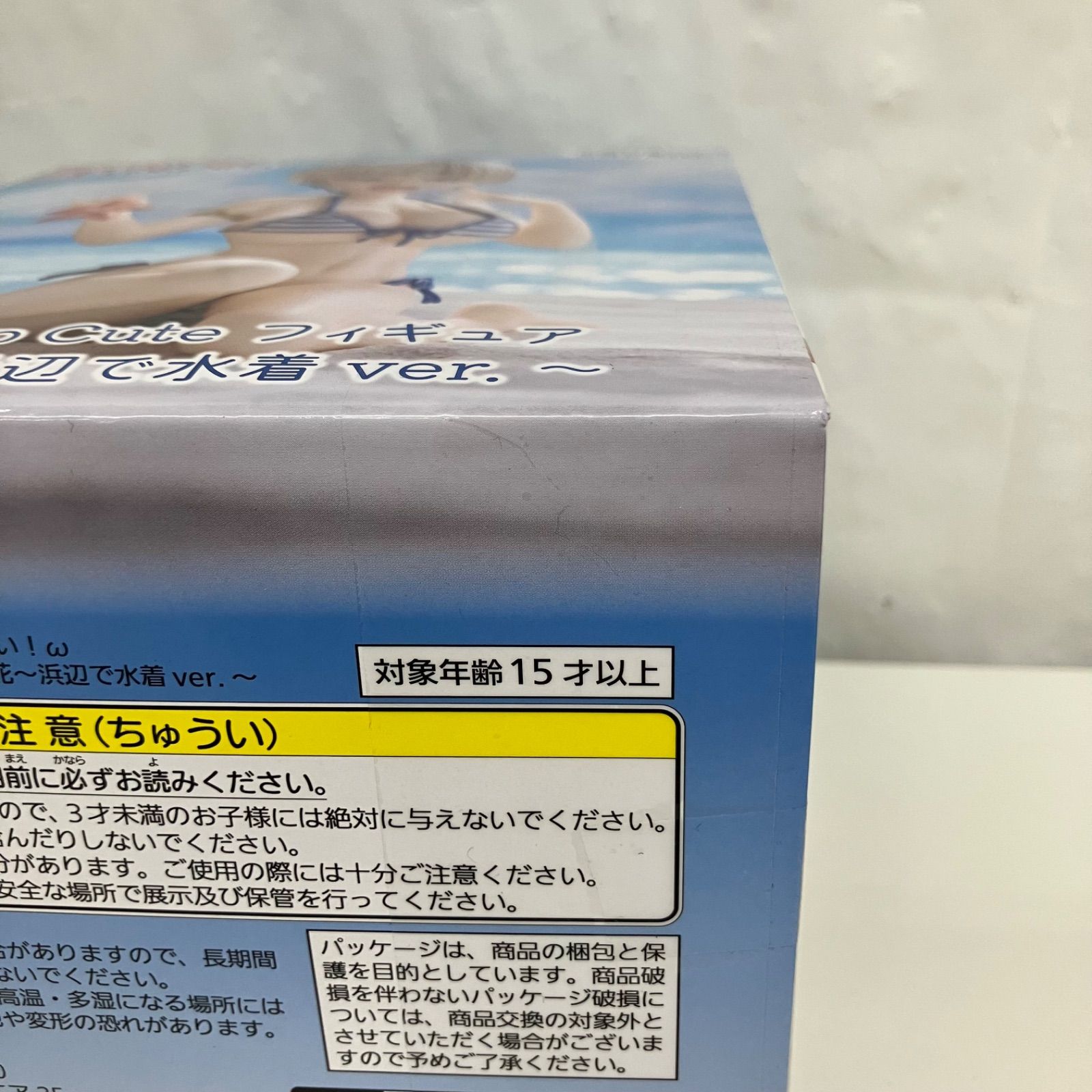 未開封 宇崎ちゃんは遊びたい Desktop Cute 宇崎花 浜辺で水着ver