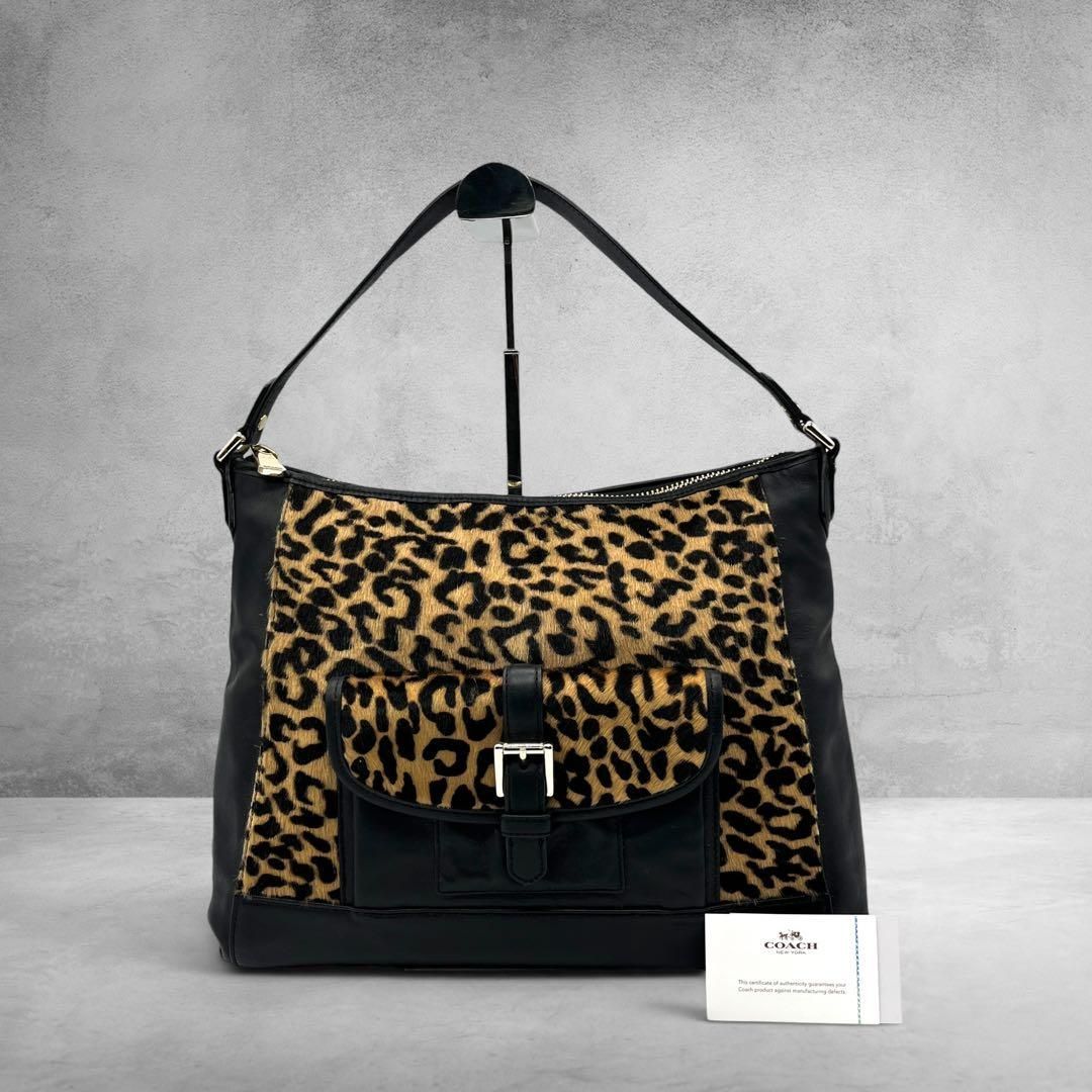 Coach Leopard Haircalf Leather Hobo Bag
