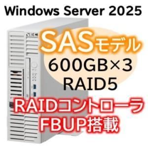 【新品・2営業日で発送】NEC 日本電気 Express5800／D／T110m-S(RAID1対応コントローラ搭載) Xeon 6325P 4C／32GB／SAS 1.2TB*2 RAID1 FBU／3年保証(NP8100-3024YR7Y)