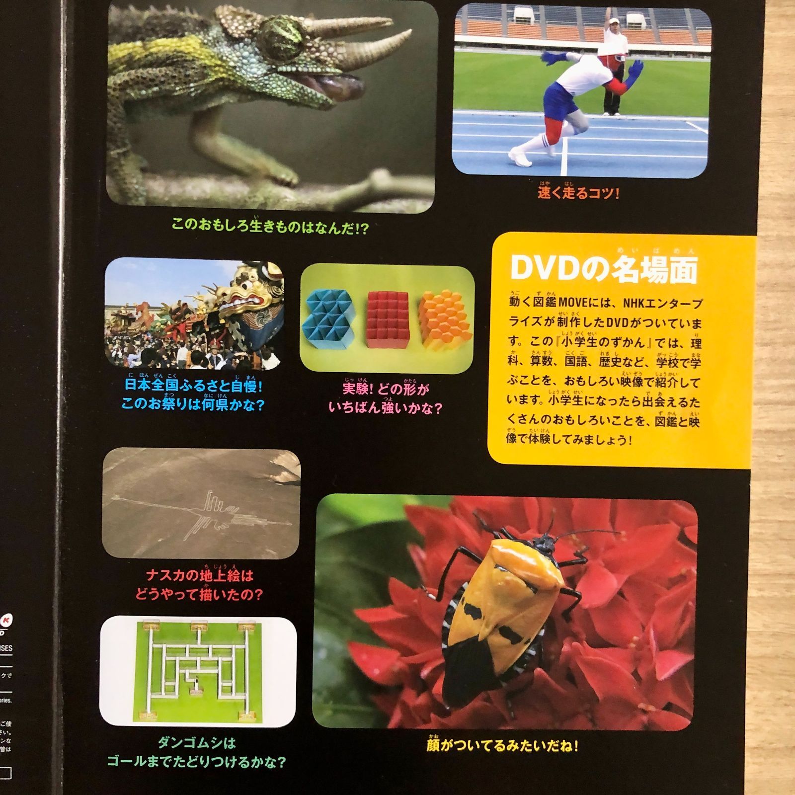 ◇[F]図鑑まとめ売り12冊 講談社の動く図鑑MOVE DVD12枚付 - メルカリ