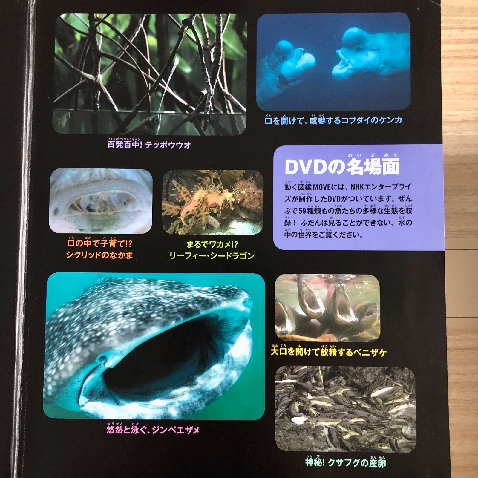 ◇[F]図鑑まとめ売り12冊 講談社の動く図鑑MOVE DVD12枚付 - メルカリ
