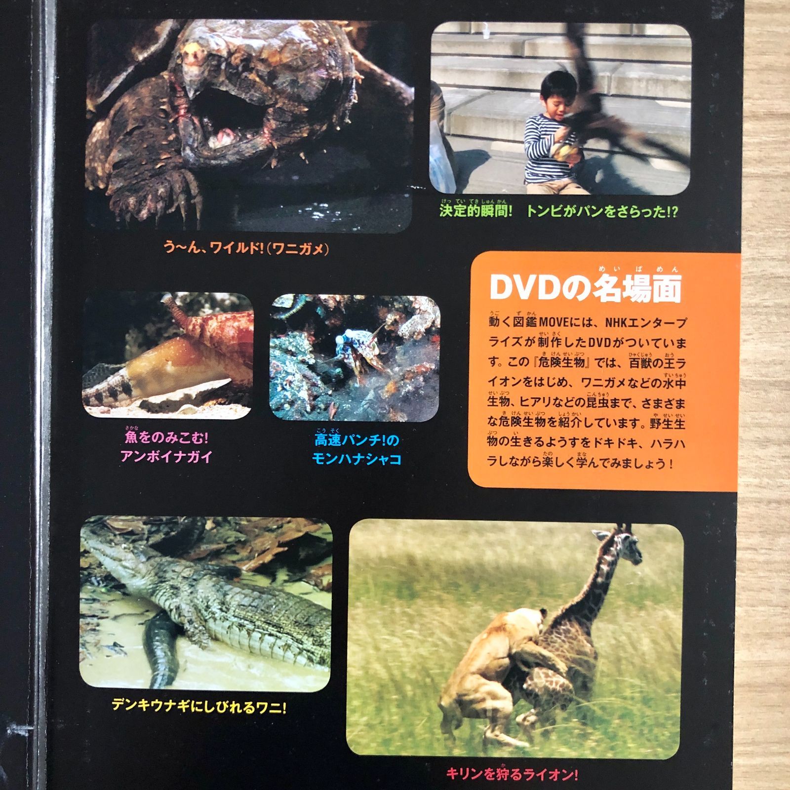◇[F]図鑑まとめ売り12冊 講談社の動く図鑑MOVE DVD12枚付 - メルカリ