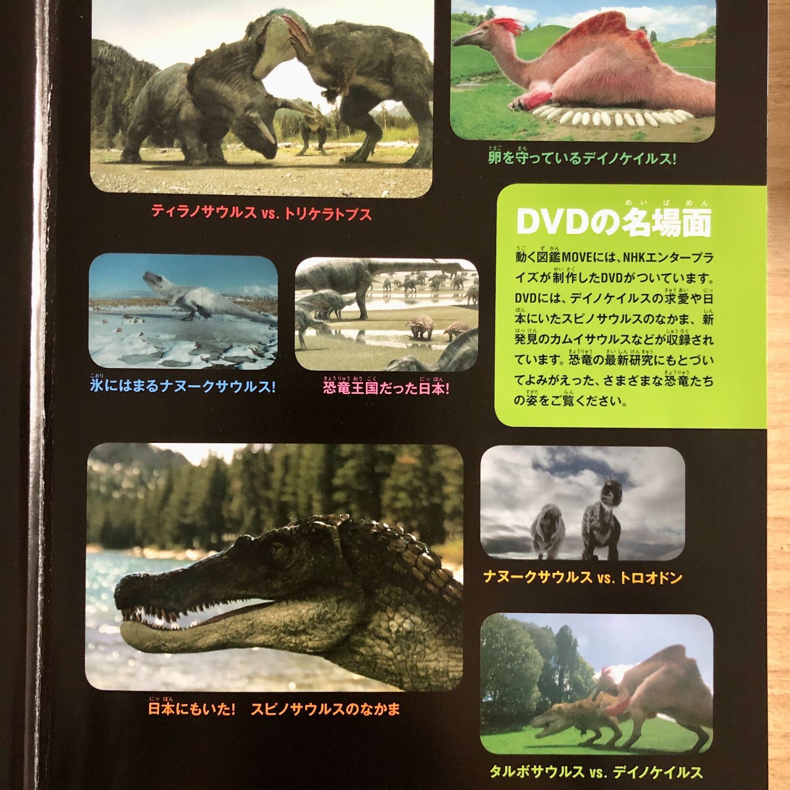 ◇[F]図鑑まとめ売り12冊 講談社の動く図鑑MOVE DVD12枚付 - メルカリ