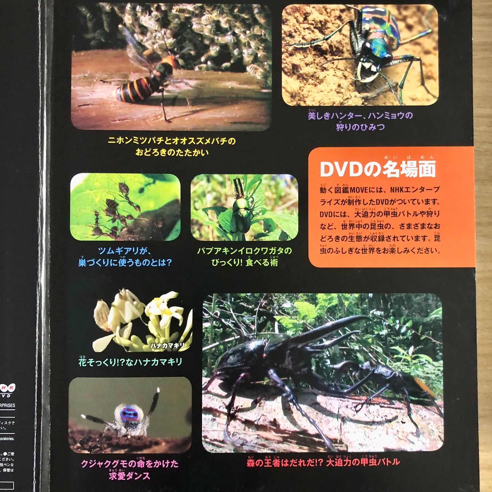 ◇[F]図鑑まとめ売り12冊 講談社の動く図鑑MOVE DVD12枚付 - メルカリ