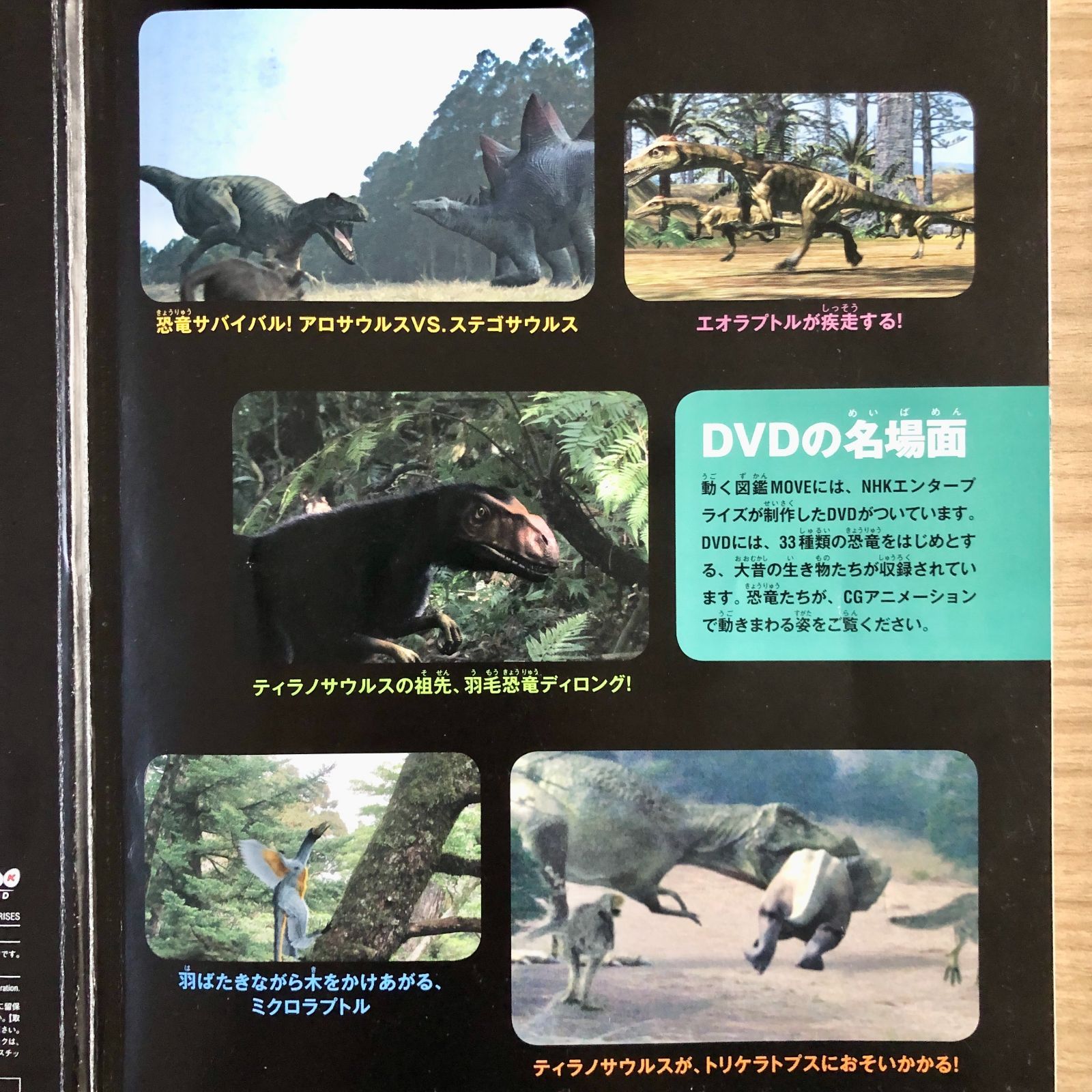 ◇[F]図鑑まとめ売り12冊 講談社の動く図鑑MOVE DVD12枚付 - メルカリ