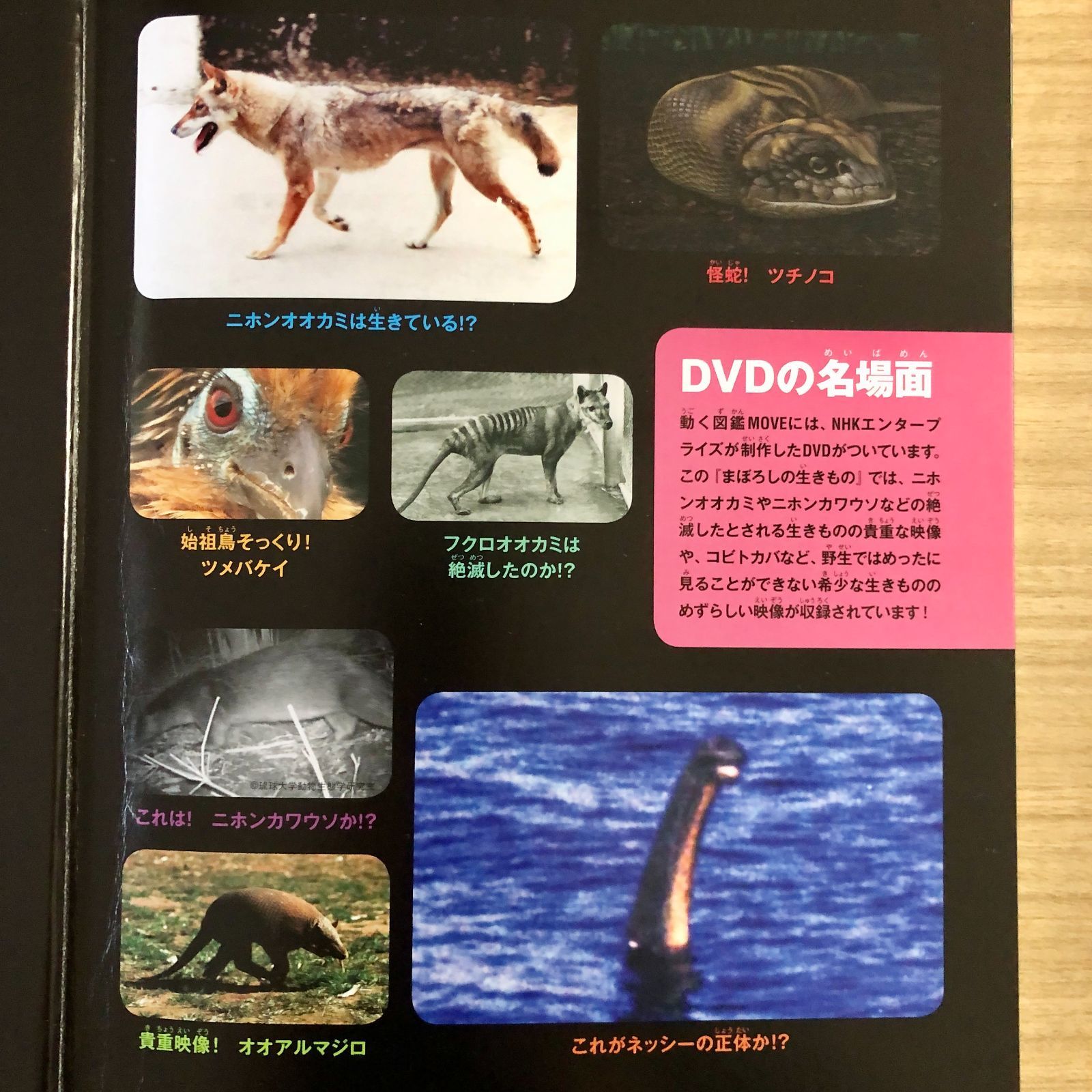 ◇[F]図鑑まとめ売り12冊 講談社の動く図鑑MOVE DVD12枚付 - メルカリ