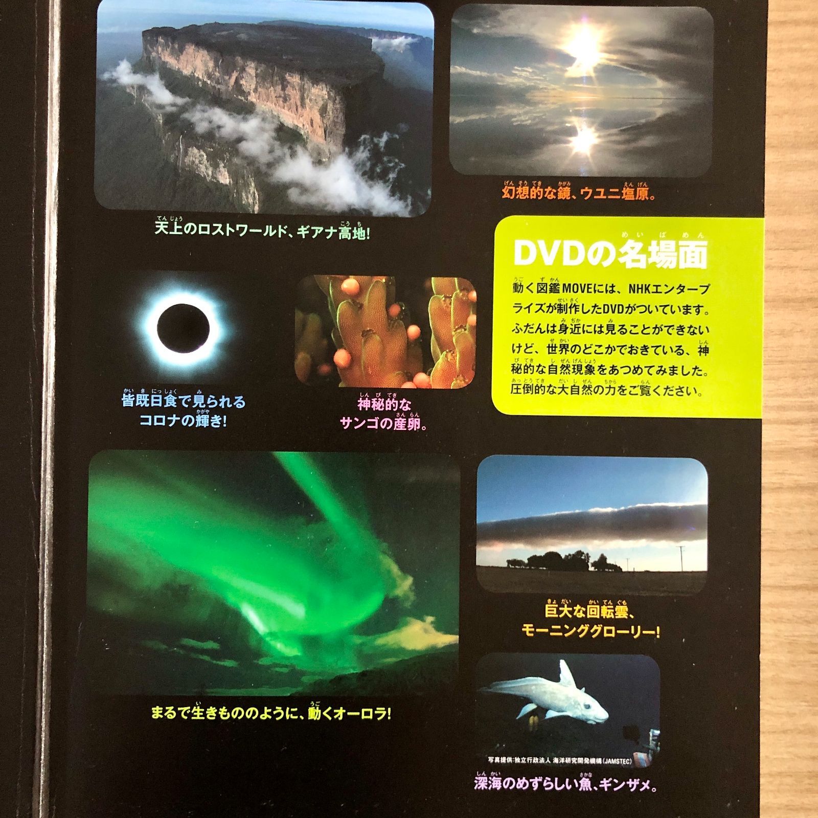 ◇[F]図鑑まとめ売り12冊 講談社の動く図鑑MOVE DVD12枚付 - メルカリ