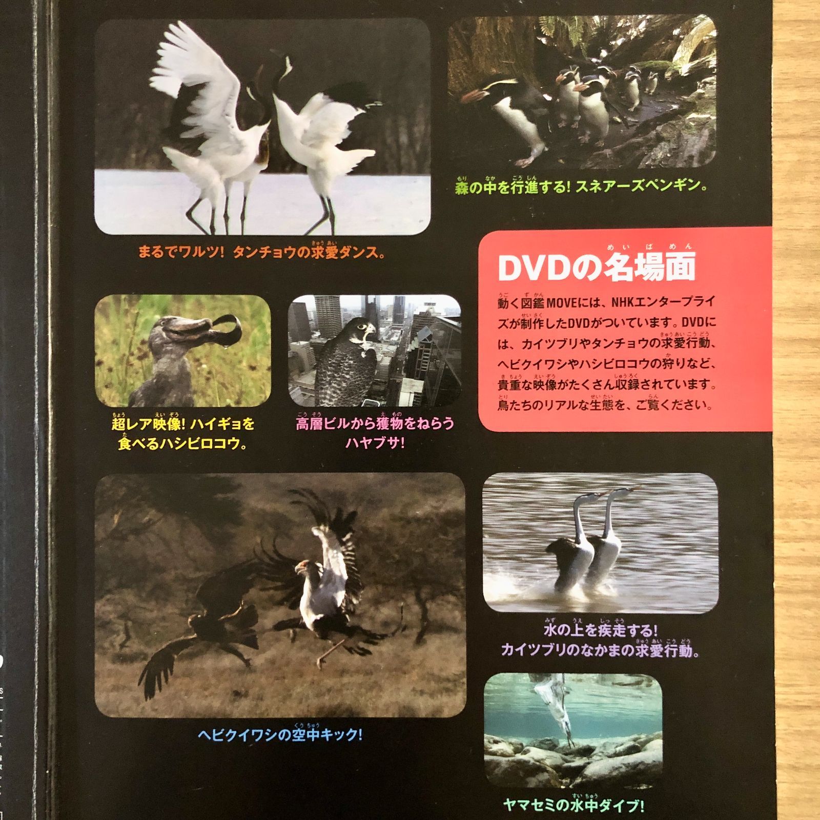 ◇[F]図鑑まとめ売り12冊 講談社の動く図鑑MOVE DVD12枚付 - メルカリ