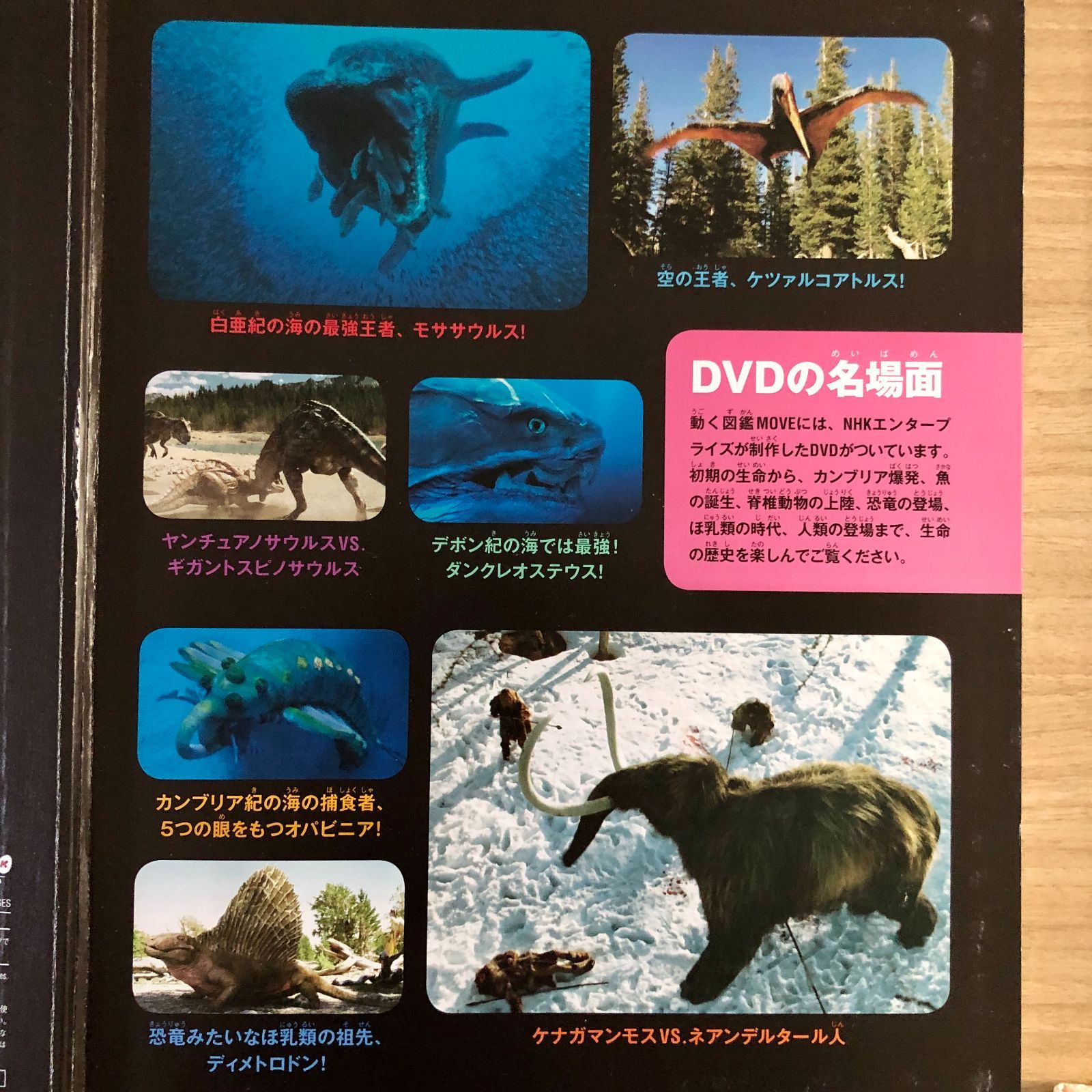 ◇[F]図鑑まとめ売り12冊 講談社の動く図鑑MOVE DVD12枚付 - メルカリ
