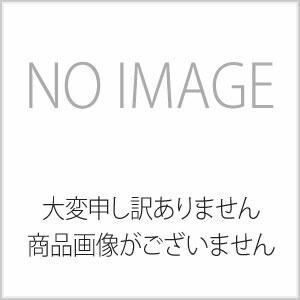 【新品・5営業日で発送】テラモト トーロンブラシ (替ブラシ) 14型 ポリシャー用(樹脂台)