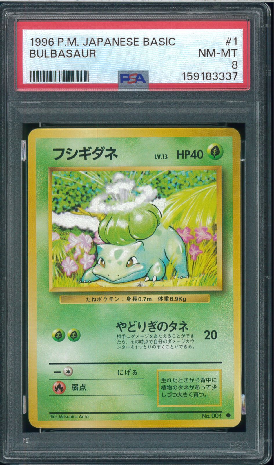 PSA8 フシギダネ Common 旧裏 旧裏面 拡張パック第1弾 No.001