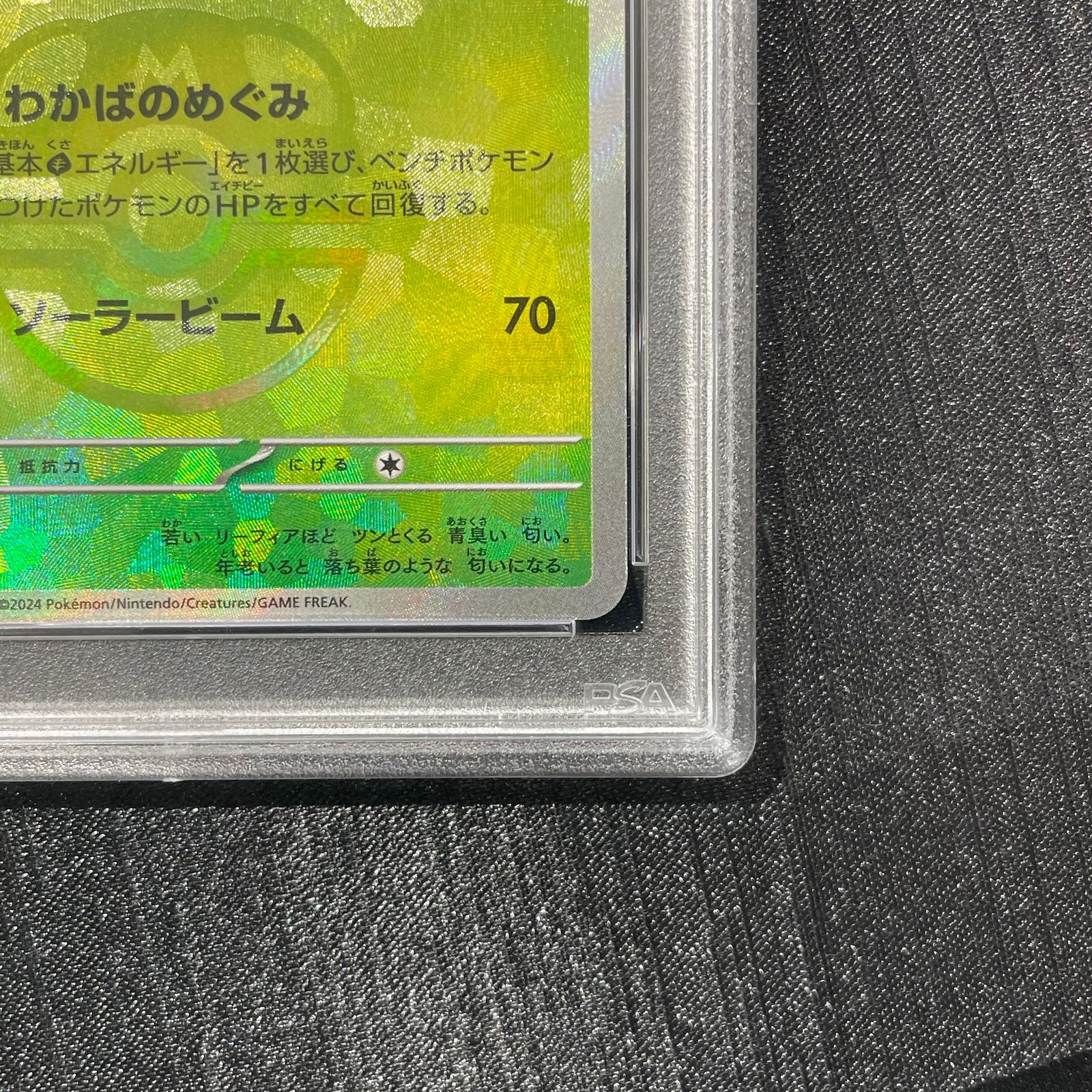 PSA10】リーフィア(マスターボール柄/ミラー仕様) 002/187 1枚 - メルカリ