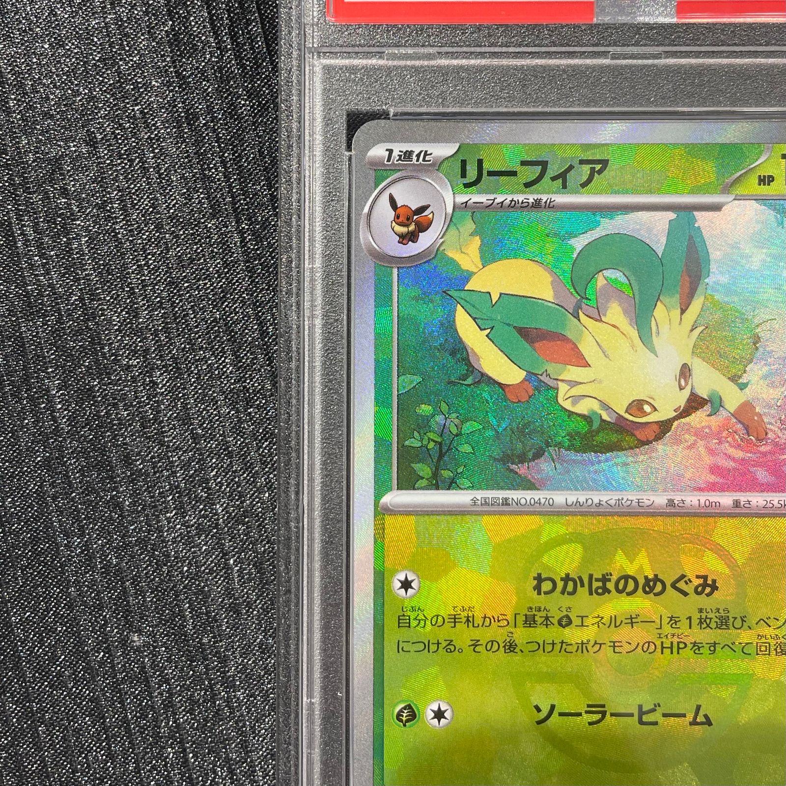 PSA10】リーフィア(マスターボール柄/ミラー仕様) 002/187 1枚 - メルカリ