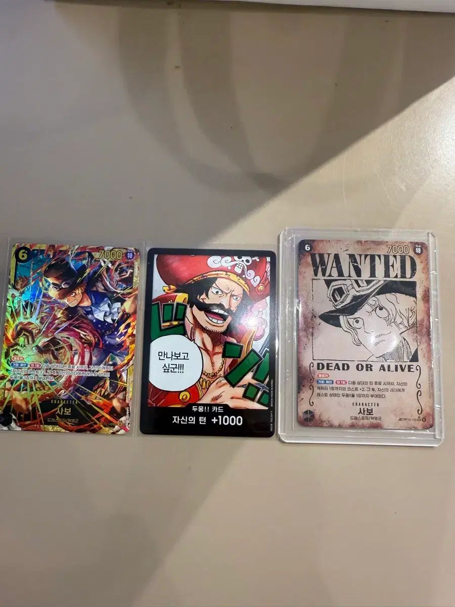 ONE PIECE 13 受け継がれる意志（サボ 懸賞金シークレット 弾）