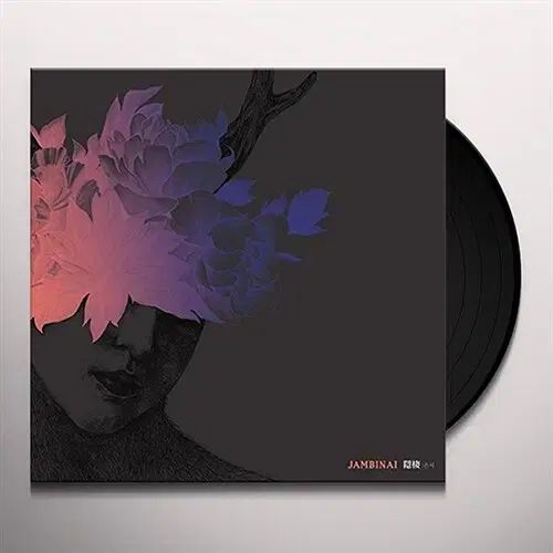 ザンビナイ ウンソ(EUNSEO) lp