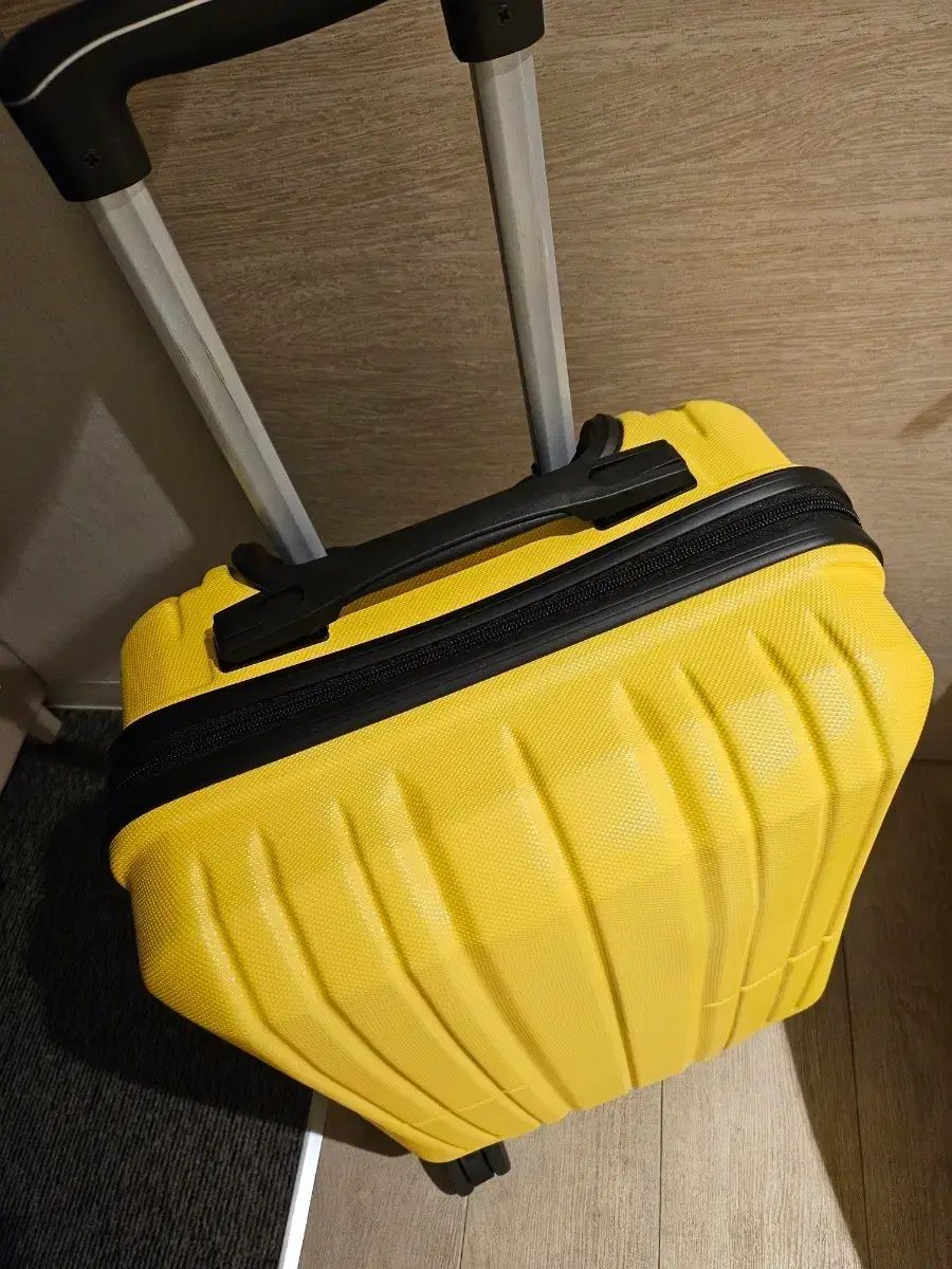 機内持ち込み キャリアーバッグ