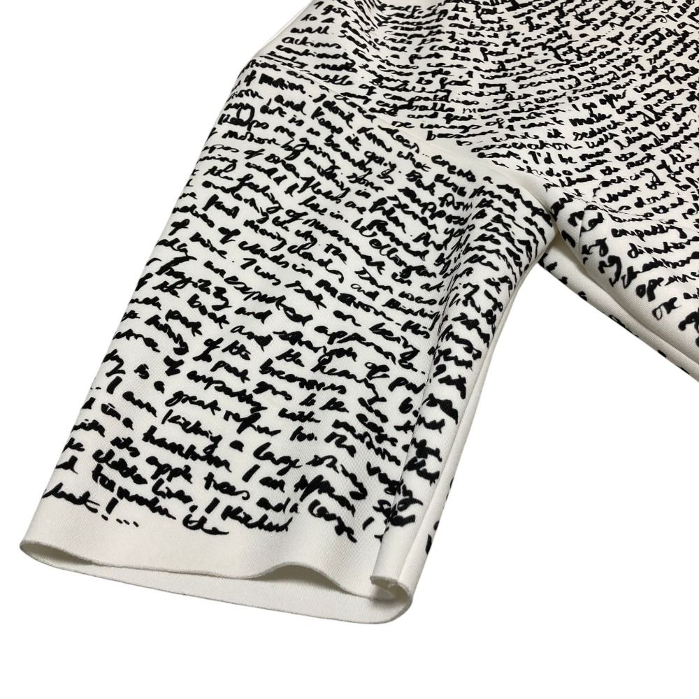 美品 DRIES VAN NOTEN ドリスヴァンノッテン Len Lye 英字プリント