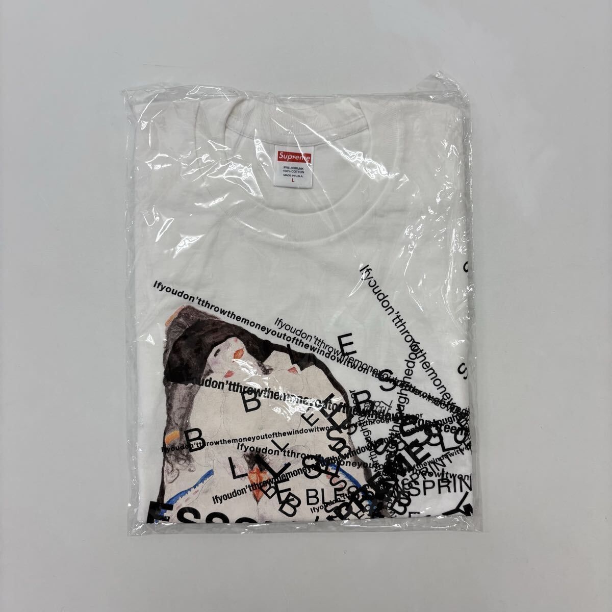 23aw 2023 未使用 Supreme シュプリーム Bless Observed In A Dream Tee Tシャツ サイズ L 807-0060