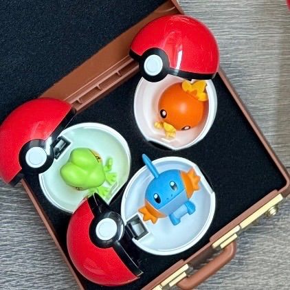 ポケモン 30周年 最初の仲間 3点セット フィギュア ホウエン地方