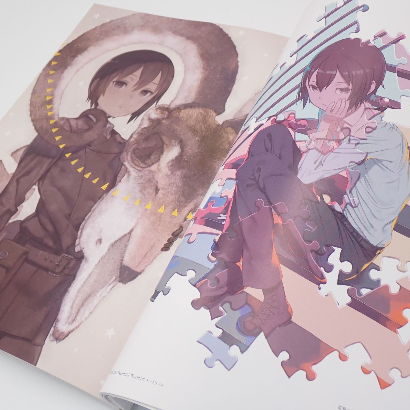 送料無料 KADOKAWA 帯付き 黒星紅白画集 blanc ブラン 完全保存版 本