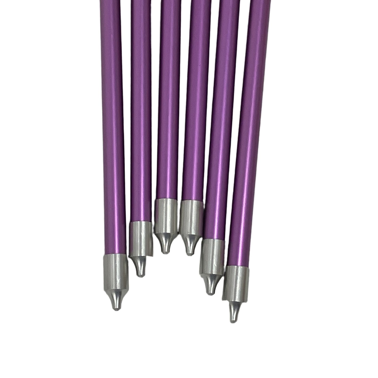 EASTON XX75 1913 6本セット パープル イーストン 弓道 矢 6本セット