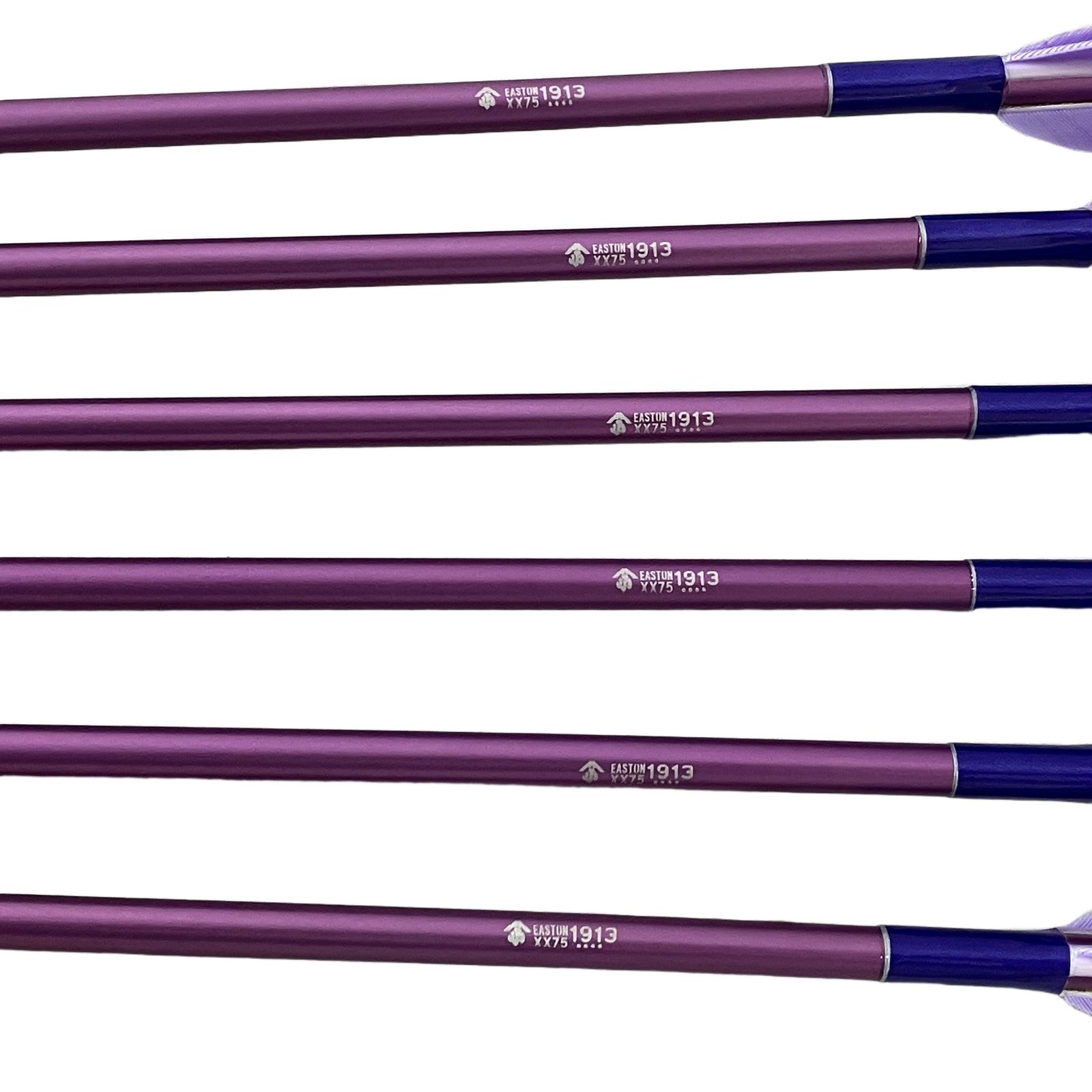 EASTON XX75 1913 6本セット パープル イーストン 弓道 矢 6本セット