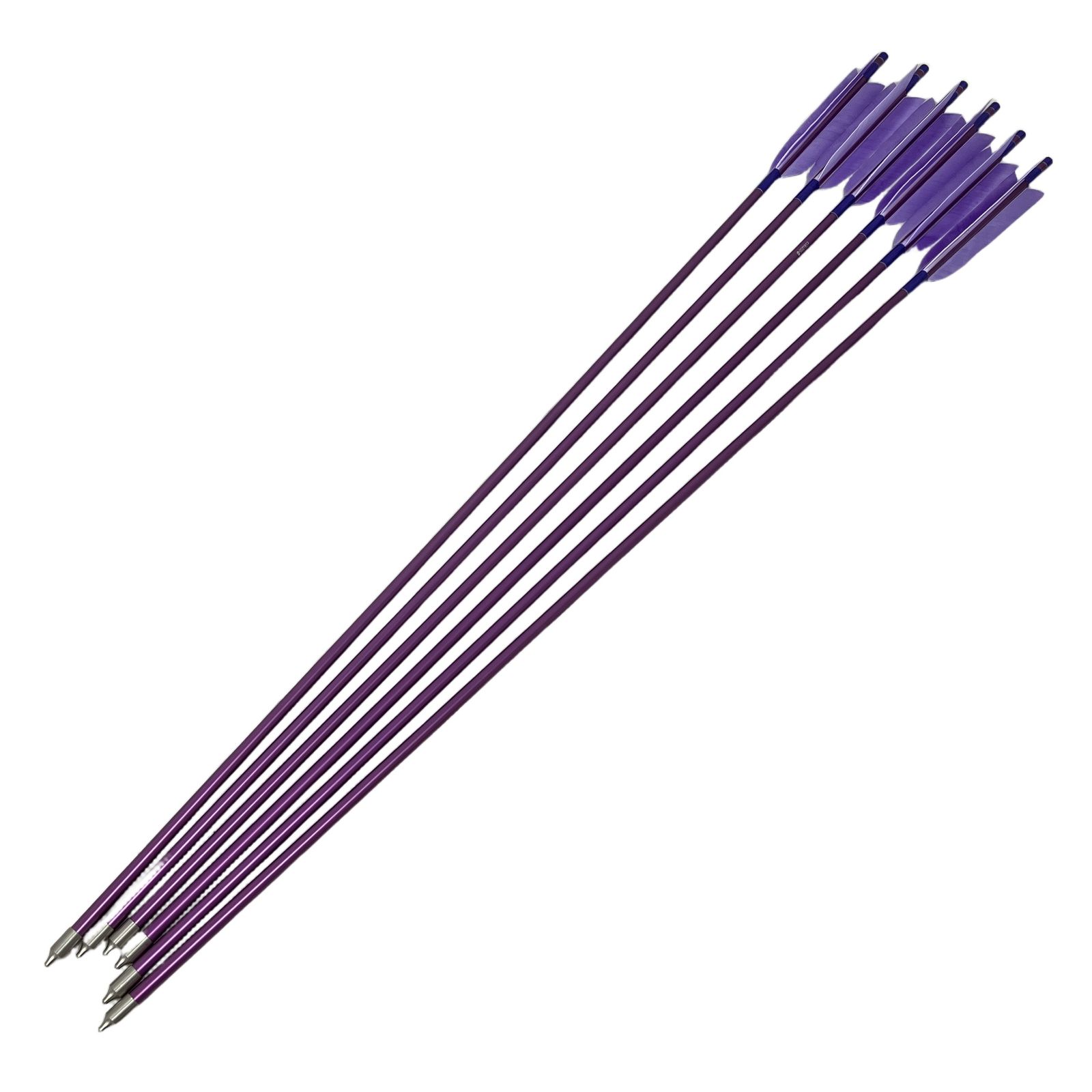 EASTON XX75 1913 6本セット パープル イーストン 弓道 矢 6本セット