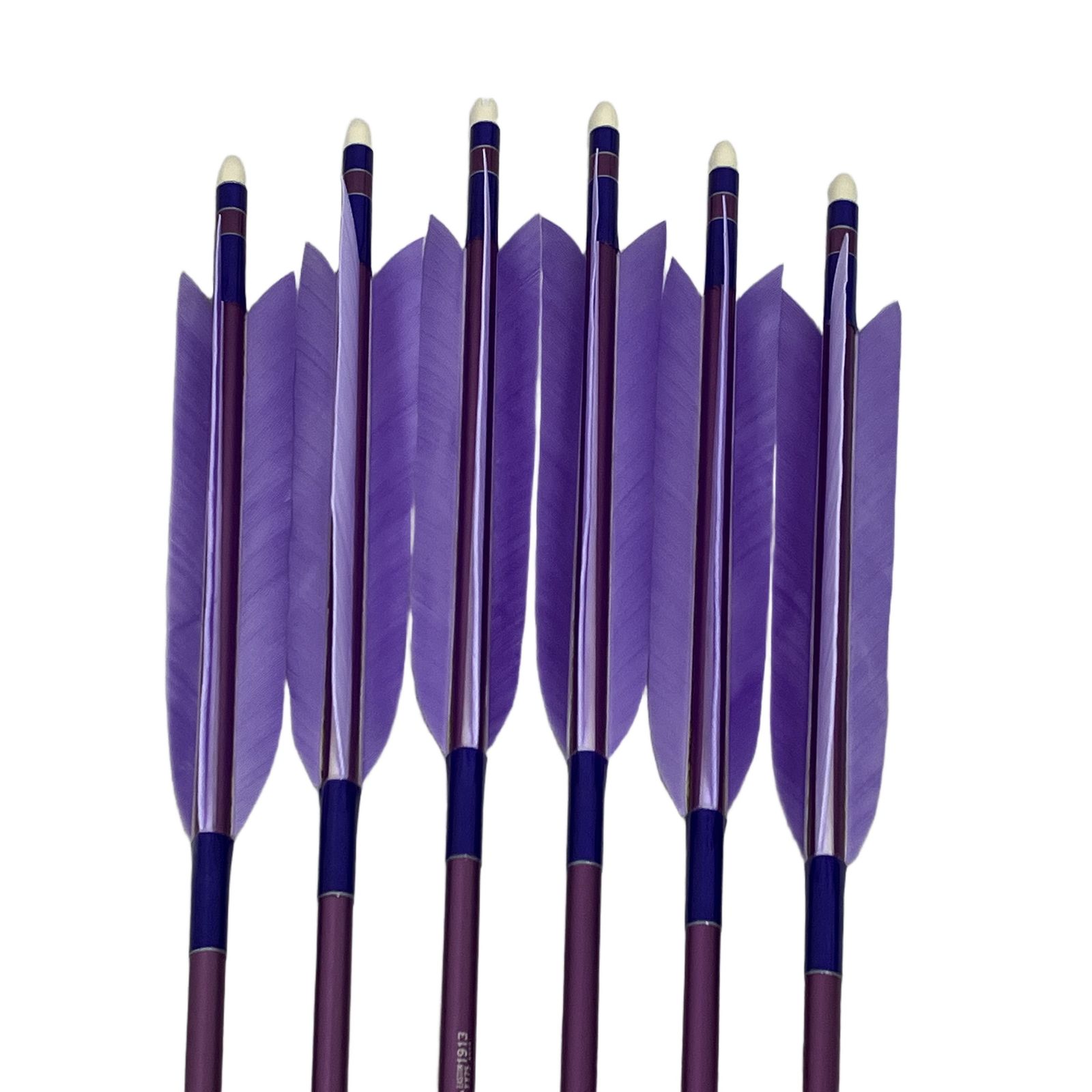 EASTON XX75 1913 6本セット パープル イーストン 弓道 矢 6本セット
