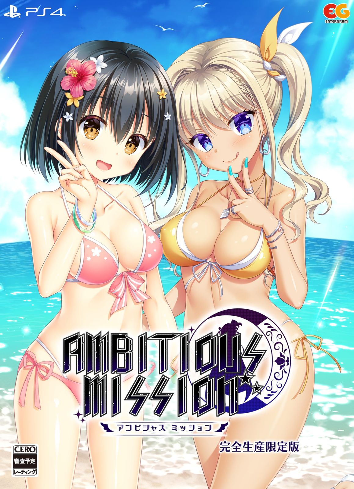AMBITIOUS MISSION 完全生産限定版 -PS4 【特典】アクリルフィギュア、ドラ(中古品)