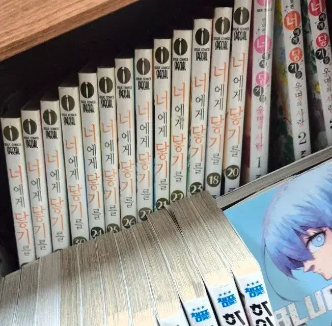 傷 X ) あなたに 君に届け 18 30 巻+外編 運命の 人 1 3 巻