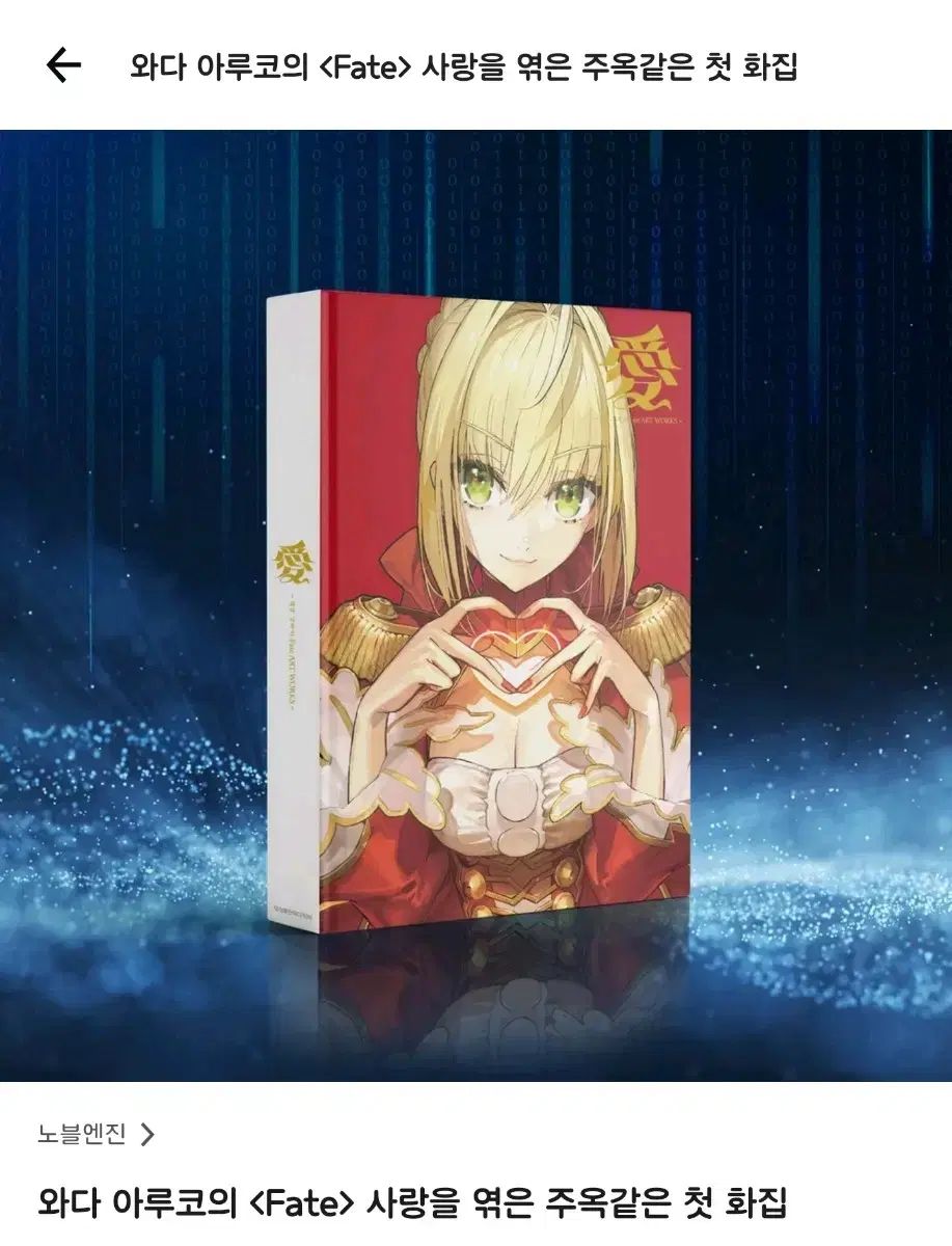 未開封 FATE fate 和田アルコ 画集 出品