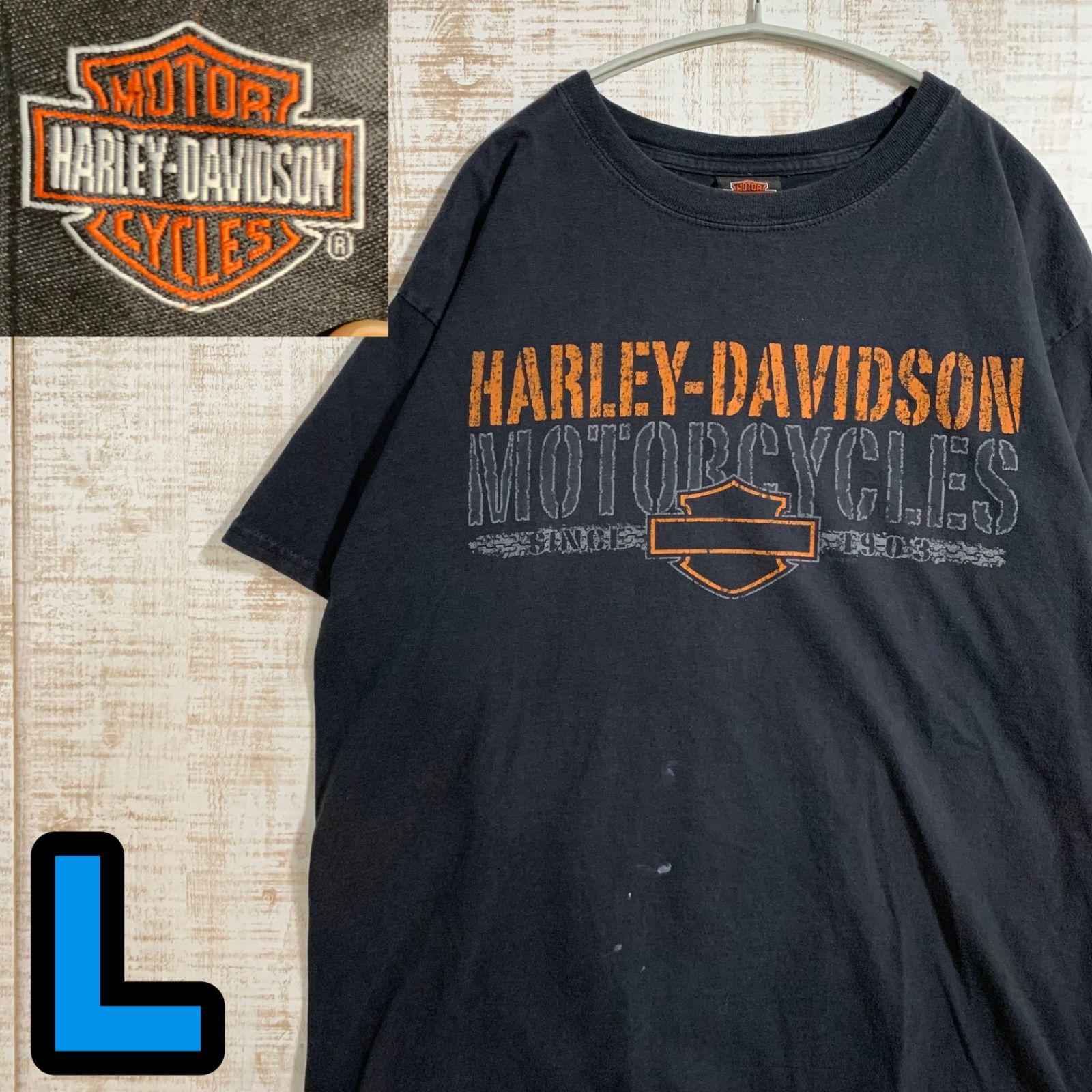 T8769 HARLEY-DAVIDSON Tシャツ Hanes アメカジ