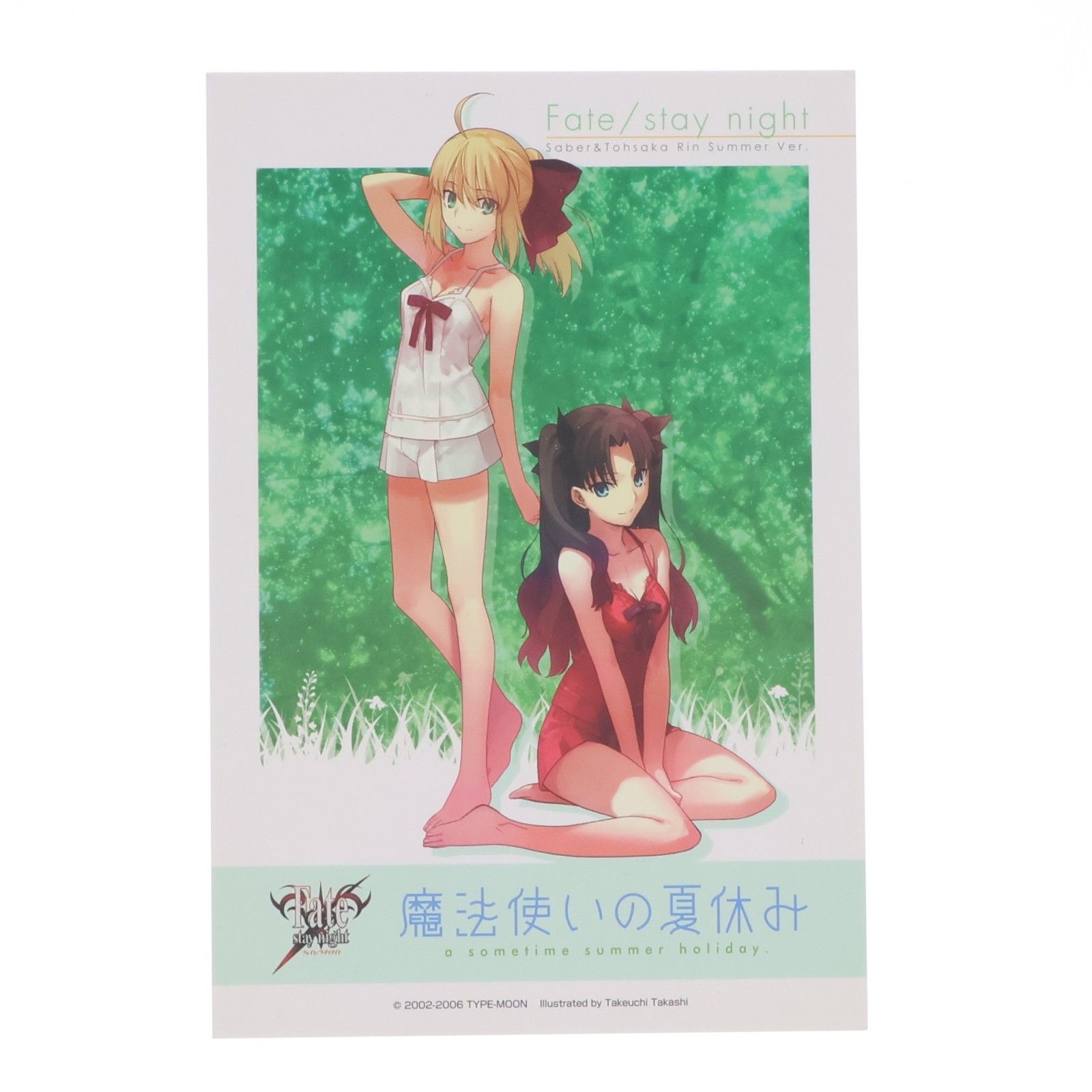 ポストカード付属 セイバー Summer Ver. Fate/stay night(フェイト
