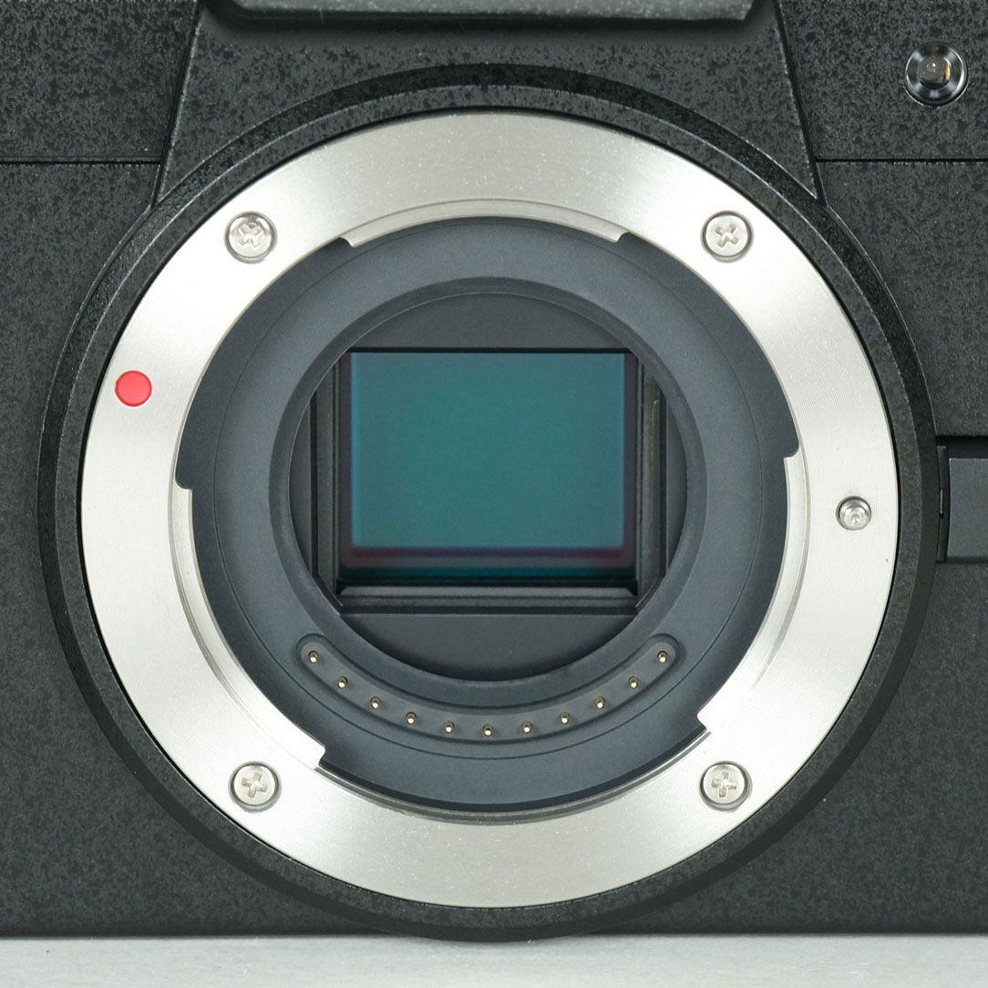 美品 | シャッター数330回] Panasonic LUMIX DC-G100D ボディ