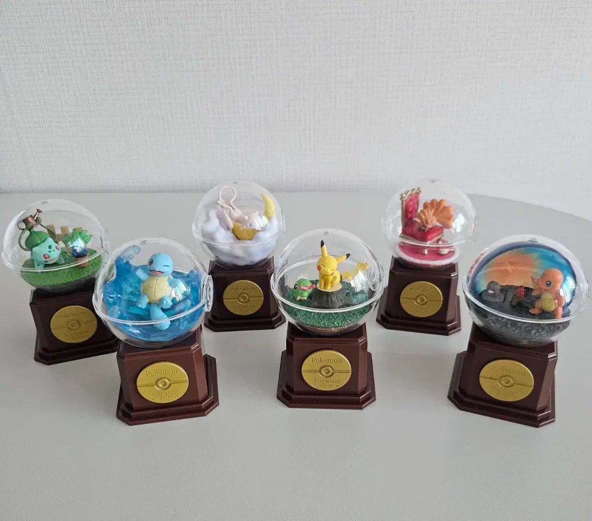 ポケットモンスター テラリウム リーメント 10周年 出品